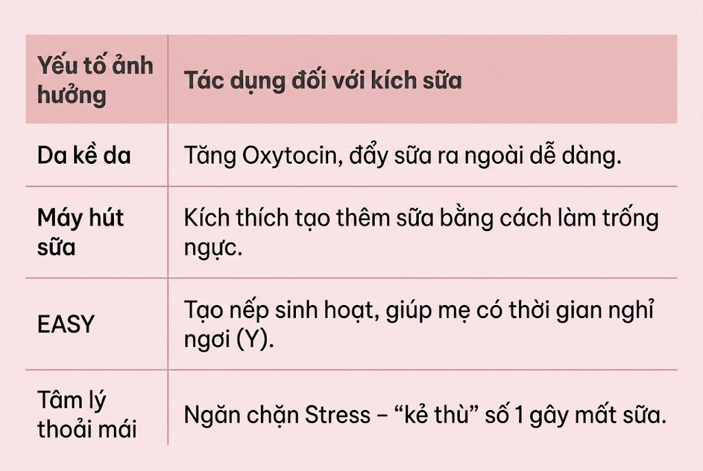 Yếu tố ảnh hưởng và tác dụng của việc kích sữa.